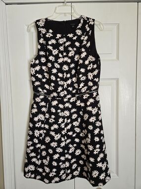 Ann Taylor Black Dress with Cream Floral Pattern